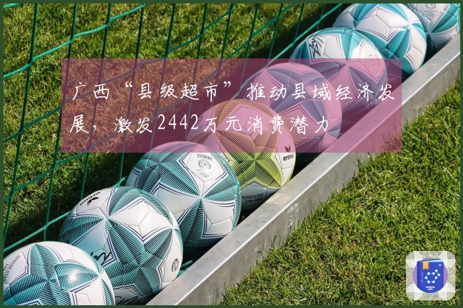 广西“县级超市”推动县域经济发展，激发2442万元消费潜力