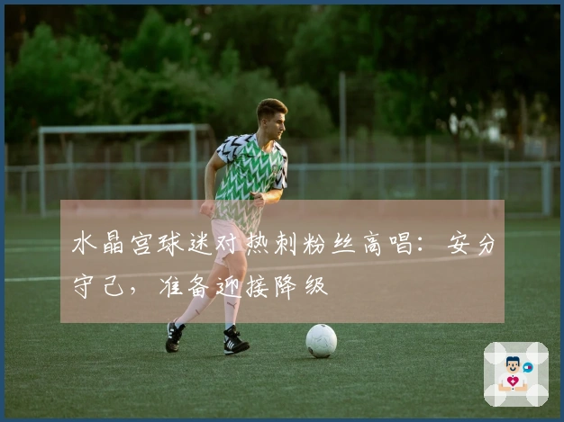 水晶宫球迷对热刺粉丝高唱:安分守己,准备迎接降级