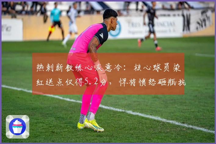 热刺新教练心灰意冷：核心球员染红送点仅得5.2分，悍将愤怒砸瓶抗议